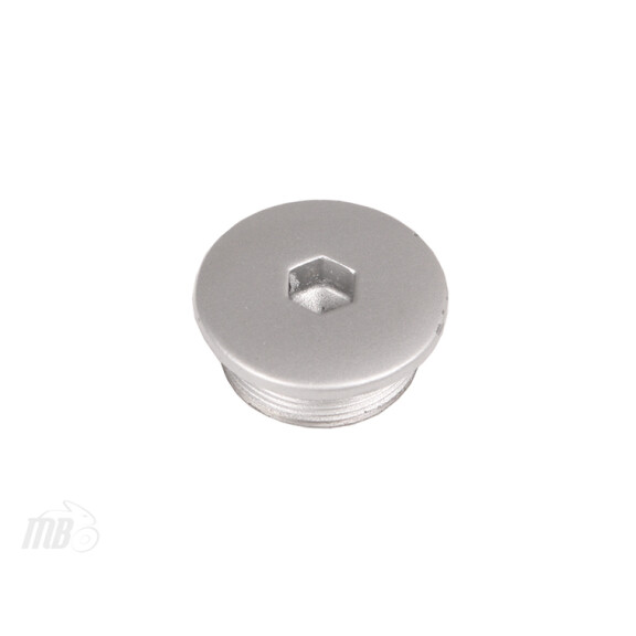 Śruba inspekcyjna 32 mm Honda 90087-KWF-940