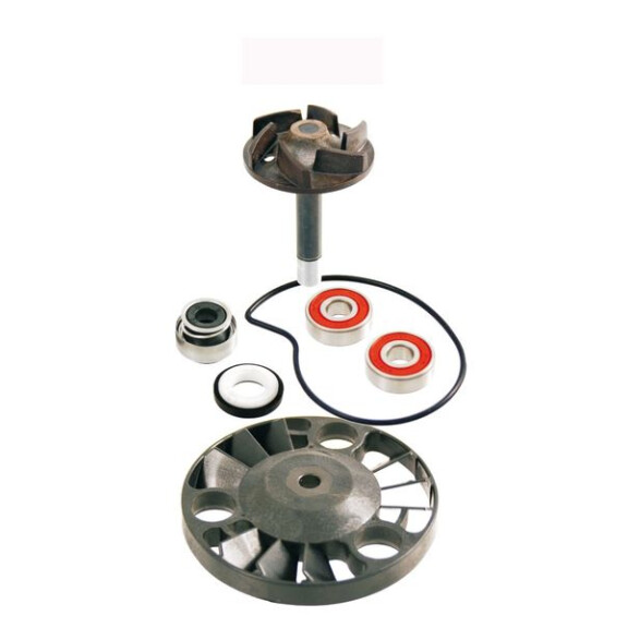 Zestaw naprawczy pompy wody Gilera DNA 125 Runner 125 Piaggio Beverly 125