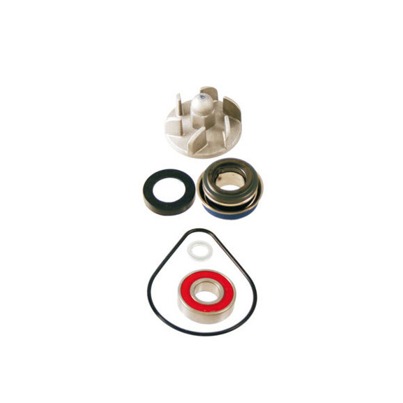 Zestaw naprawczy pompy wody Honda FES 125 150 Pantheon