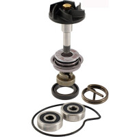 Zestaw naprawczy pompy wody Gilera Nexus 250 300 Piaggio Beverly 250