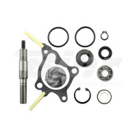 Zestaw naprawczy pompy wody Honda FES 250 Foresight 98-05