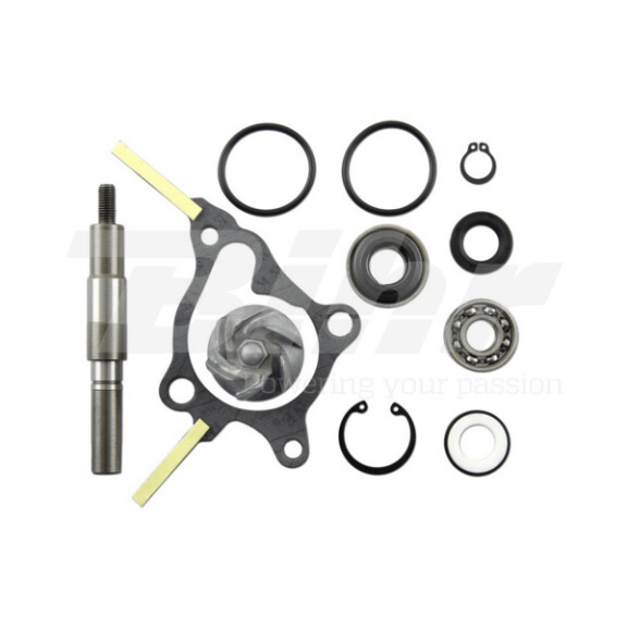 Zestaw naprawczy pompy wody Honda FES 250 Foresight 98-05