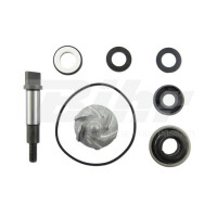 Zestaw naprawczy pompy wody Honda SH 300i 07-11