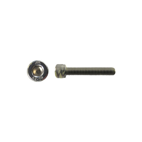 Śruba imbusowa stal nierdzewna M6 x 25 mm