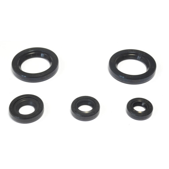 Komplet uszczelek simeringi KTM Duke 125 200 RC 200