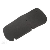 Filtr powietrza Honda FES 125 150 Pantheon 98-02