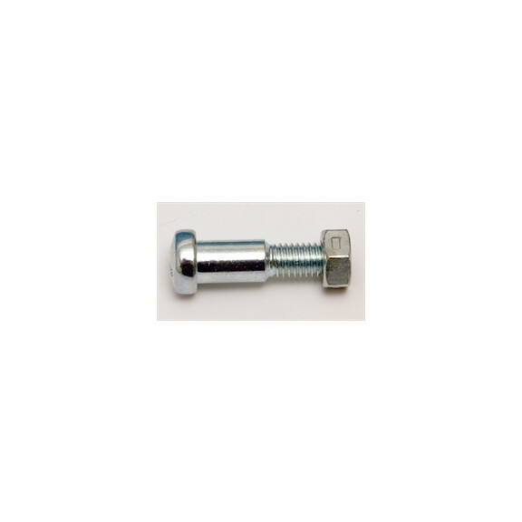 Śruba trzpień dźwigni sprzęgła Yamaha DT 50 81-97 FS1 70-90