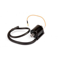 Cewka zapłonowa Aprilia Amico 50 Rally 50 SR 50 GasGas EC 125 EC 200 250