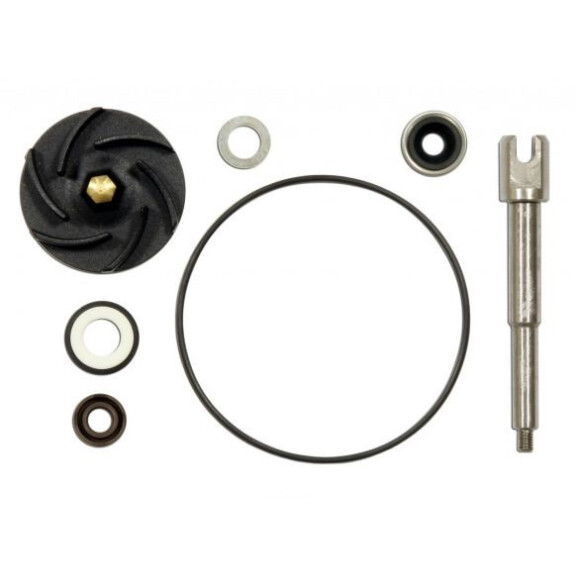 Zestaw naprawczy pompy wody Piaggio Beverly 500 X9 500