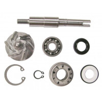 Zestaw naprawczy pompy wody Honda FES 125 Pantheon NES 125 SES 125 Dylan