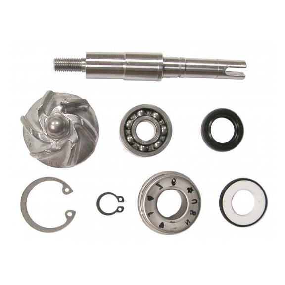 Zestaw naprawczy pompy wody Honda FES 125 Pantheon NES 125 SES 125 Dylan