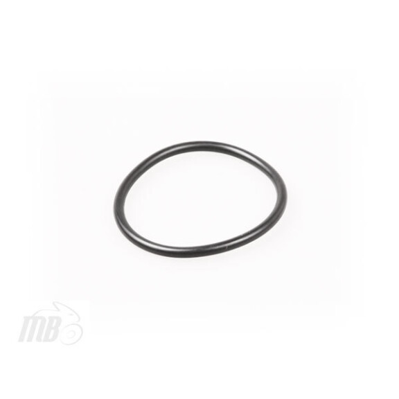 Uszczelka śruby inspekcyjnej O-Ring 48.1x3.6