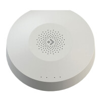 Centrala Smart Hub Ferguson FS2SH
