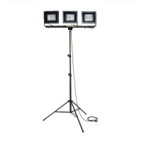 Maszt oświetleniowy Partnersite LM 3x50 F, 13500 lm, wysokość 3.24 m