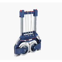 Kompaktowy Wózek Transportowy Ruxxac-Cart Business 25 Cm