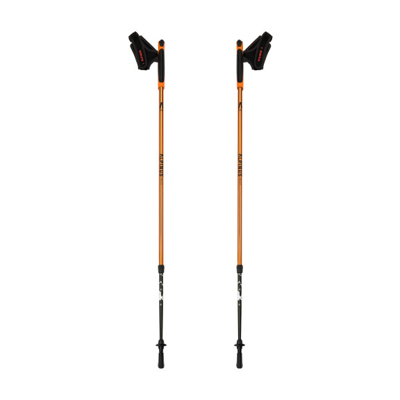 Kijki nordic walking Alpinus Kungsleden 