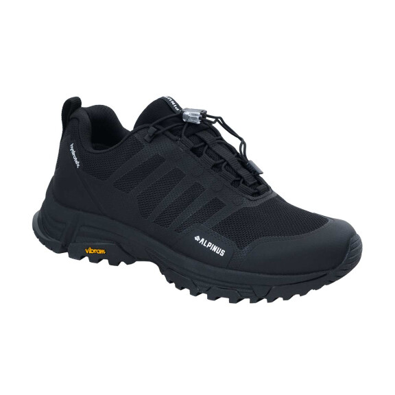 Buty trekkingowe Alpinus Larouco HDTX W 