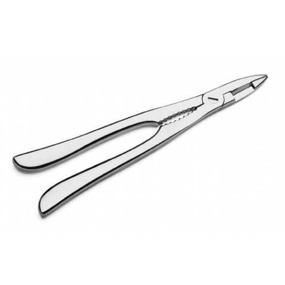 Esclusivi | PINTINOX clește de homar 074000AG