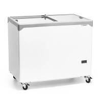 Congelator cu fereastră cu geam plat, capacitate. 290 l | FORGAST FG08400