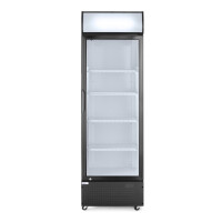 Vitrină frigorifică cu panou iluminat 254 l | ARKTIC 233788