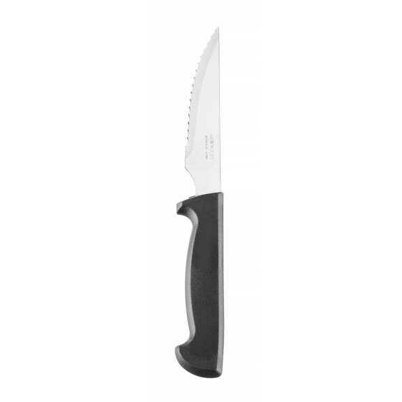 Cuțit de friptură, STEAK BASIC - lungime. 23 cm | ARCOS 740009