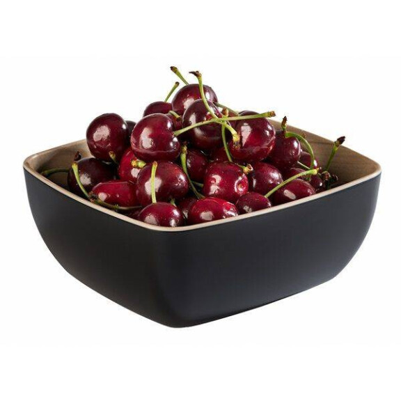 Bol melaminat FRIDA GN 1/6 negru | APS 84584