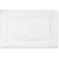 JULIUS ZOLLNER Coussin Hygiena 40x60cm