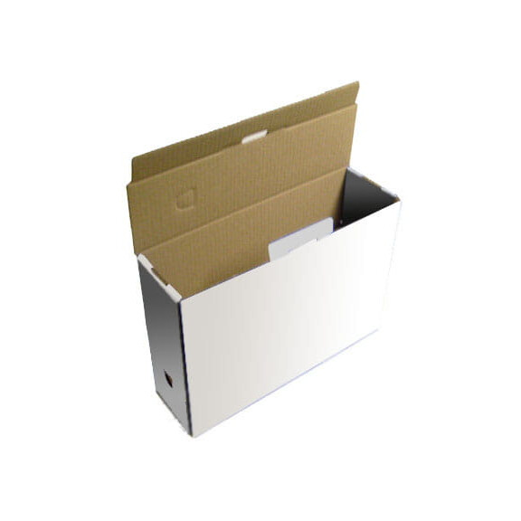 Karton archiwizacyjny ,,BOX'' 350x100x250