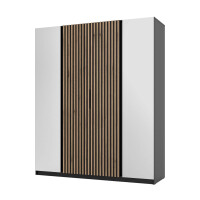 Szafa do przedpokoju 4-drzwiowa z lustrem i lamelami Dravero BL/BL-EV 2L 2LAM