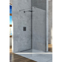 Ścianka prysznicowa 120 cm BKP251T12 Walk-In