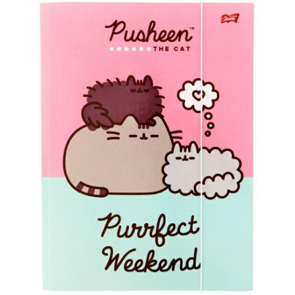 Teczka z gumką A4 PUSHEEN