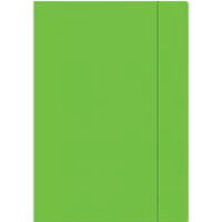 INTERDRUK Teczka z gumką A4+FLUO