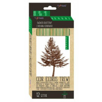 Zestaw ołówków sześciokątnych credowych