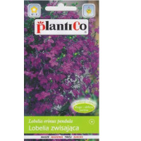 Lobelia zwisła fioletowa 0,1g