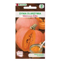 LEGUTKO Dynia olbrzymia Melonowa Żółta