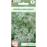 LEGUTKO Mar-Gipsówka wiechowata białe