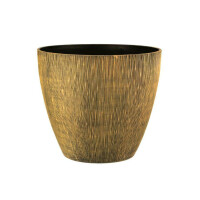 GALICJA Donica ARIZONA 33 23402 BAMBUS