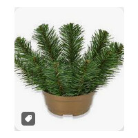 Dekoracje Doniczka podkład M 779 M