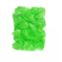 ASTRA Piórka Jasno Zielony (P-135) 10-12