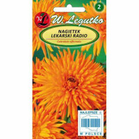 LEGUTKO Nagietek lekarski RADIO 2G