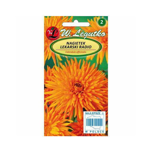 LEGUTKO Nagietek lekarski RADIO 2G