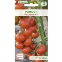LEGUTKO Pomidor HARZFEUER F1   0,1G