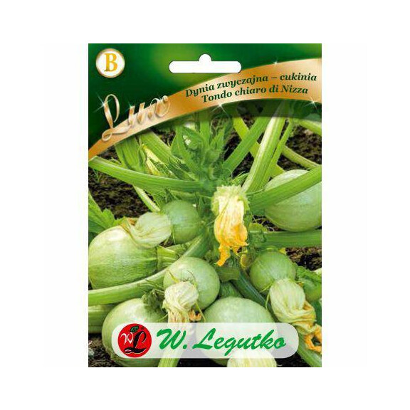 LEGUTKO Dynia zwyczajna TONDO CHIARO 3G