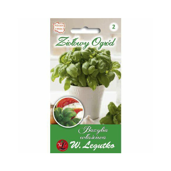 LEGUTKO Bazylia właściwa ZIELONA 1G