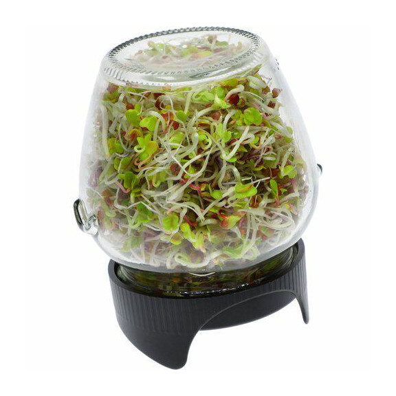 BROWIN Kiełkownica słoikowa+nasiona