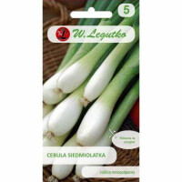 LEGUTKO Cebula siedmiolatka WINTER NEST5