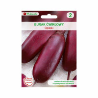 LEGUTKO Burak ćwikłowy OPOLSKI 10G