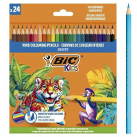 ASTRA Kredki drewniane Eco Smooth 24