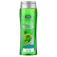 Šampón na mastné vlasy Pollena Ewa Trojitá sila bylín 250 ml