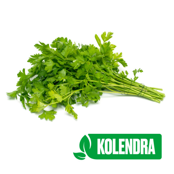 Kolendra pęczek